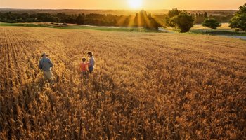 Family Farming